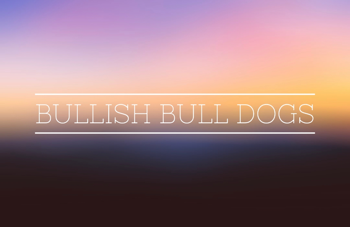 Bullish Bull Dogs banner